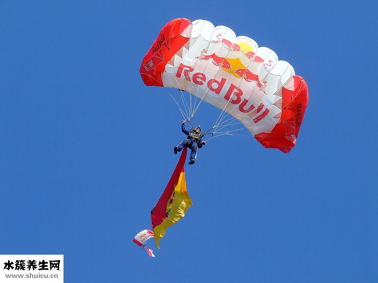 女生怎么鍛煉肌肉