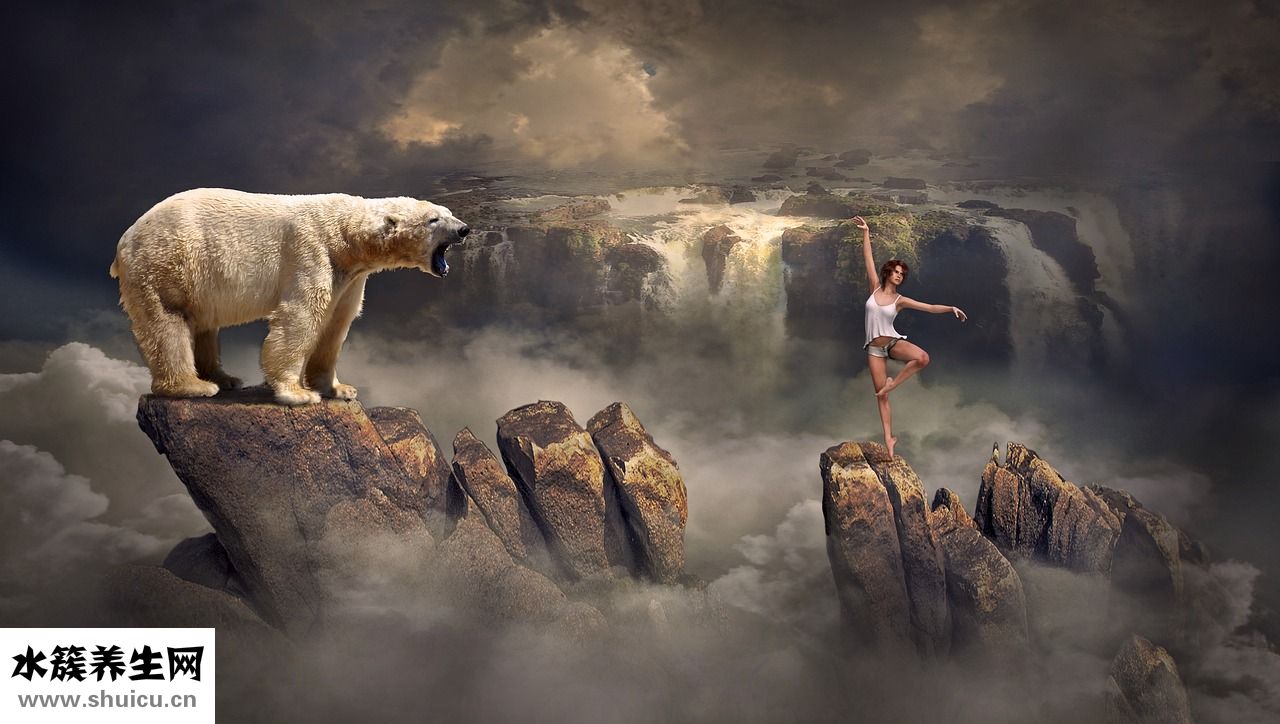 爬天中介怎么用