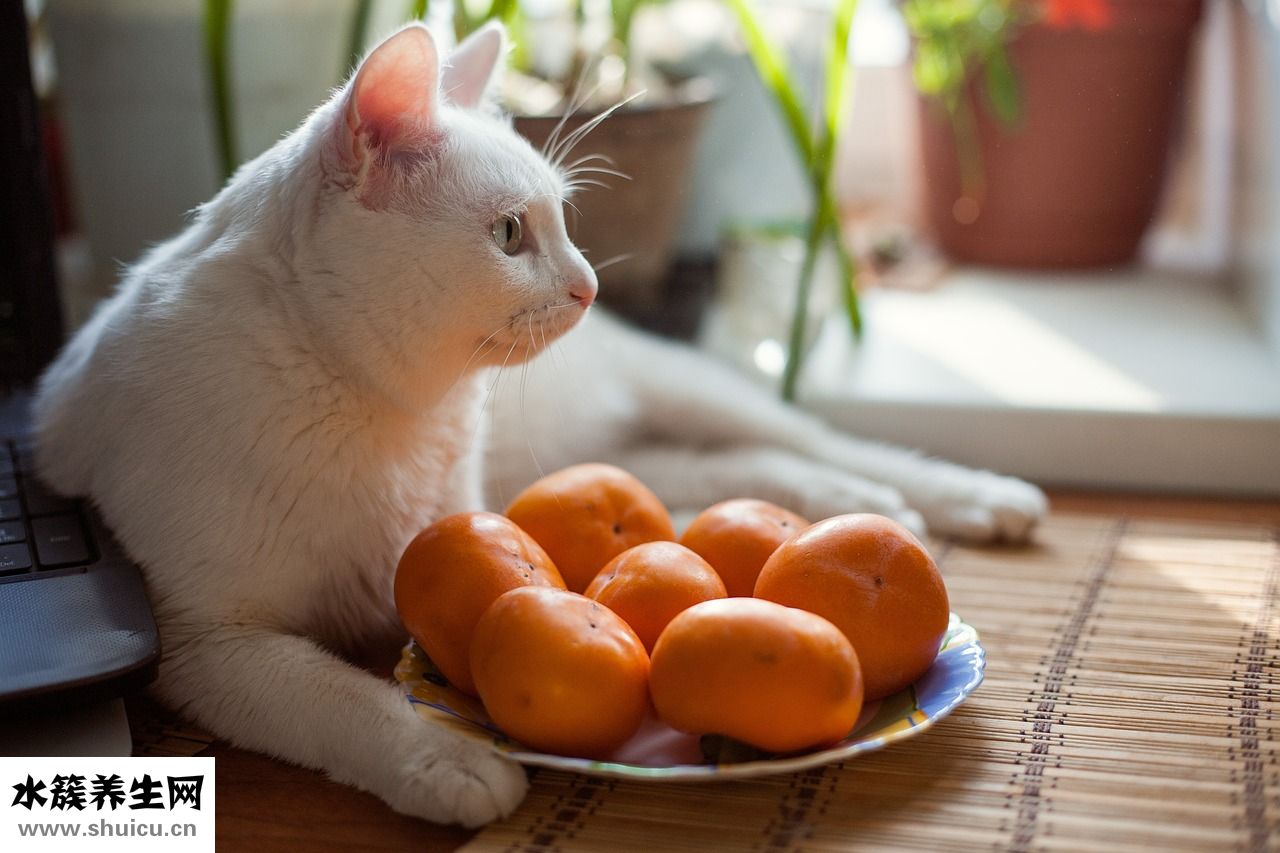 怎么挑選葡萄干
