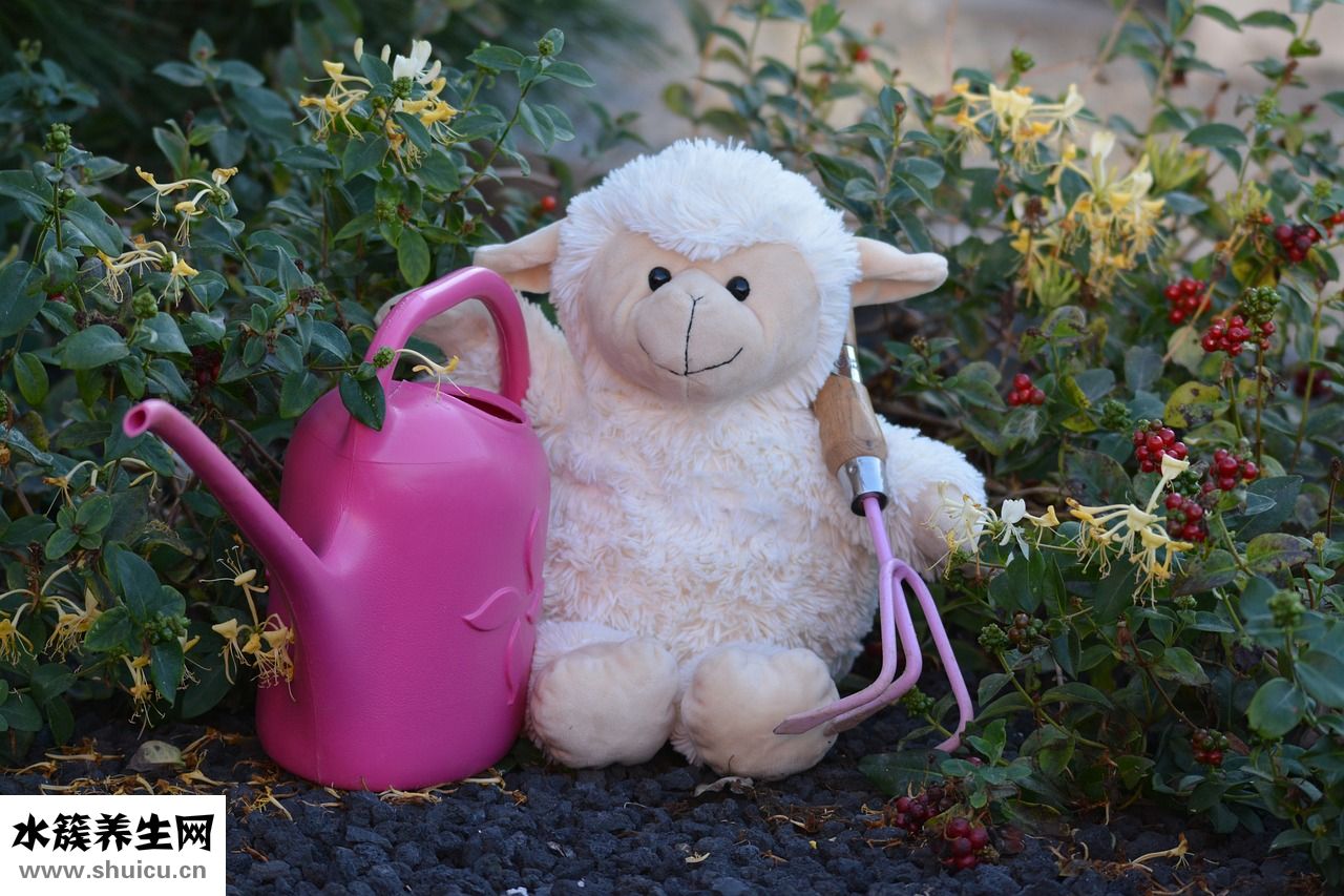 毛毛太多怎么辦