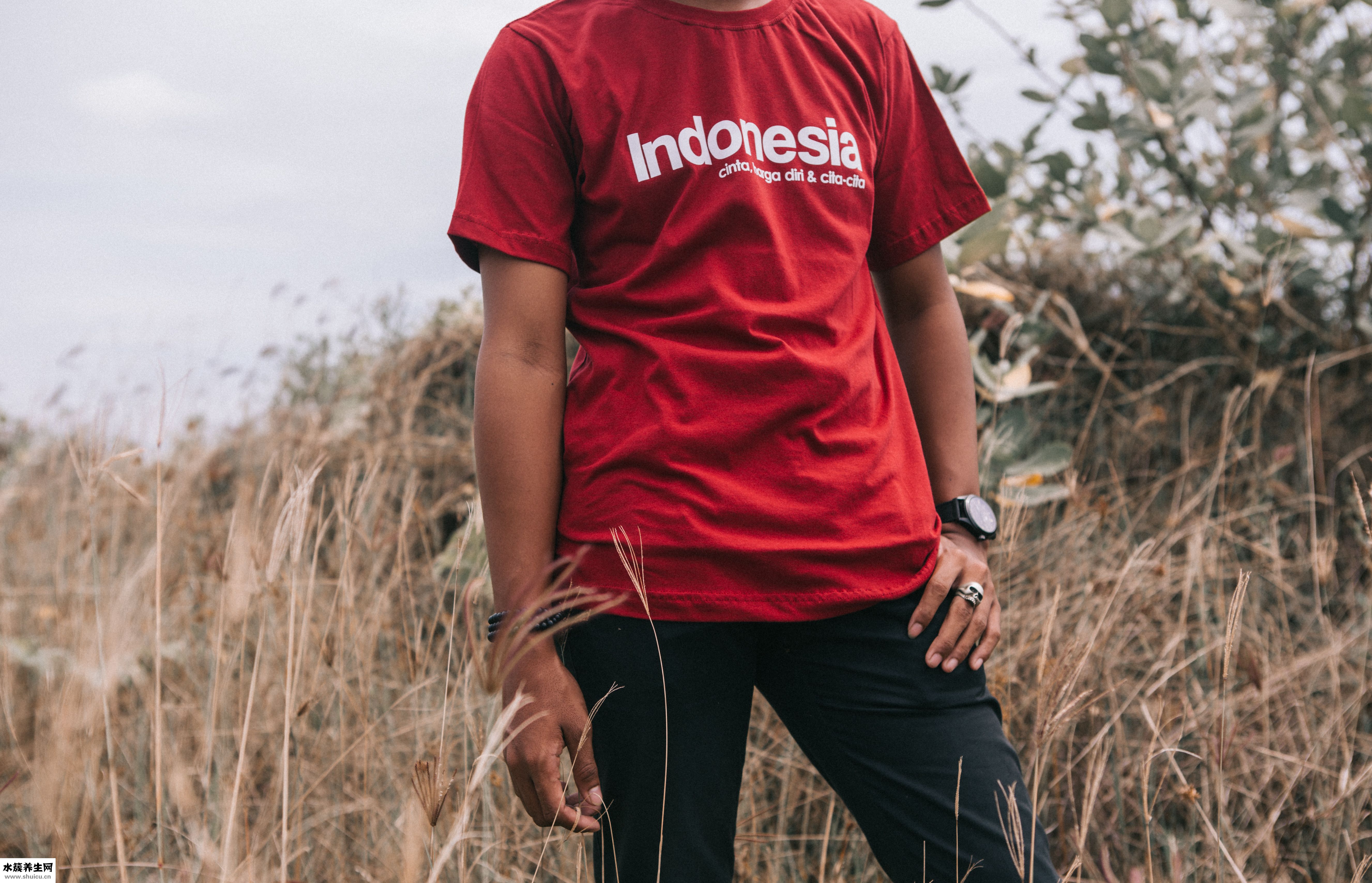 怎么形容貓頭鷹