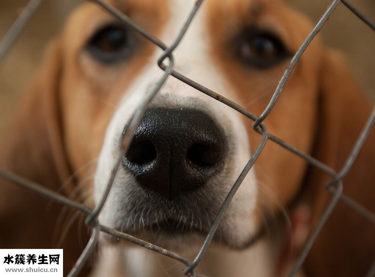 兩歲寶寶膽小怎么辦