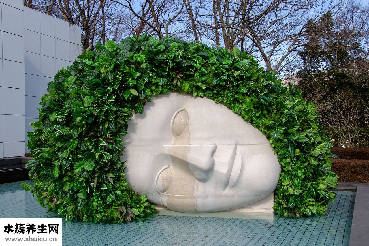 頭發很粗怎么辦