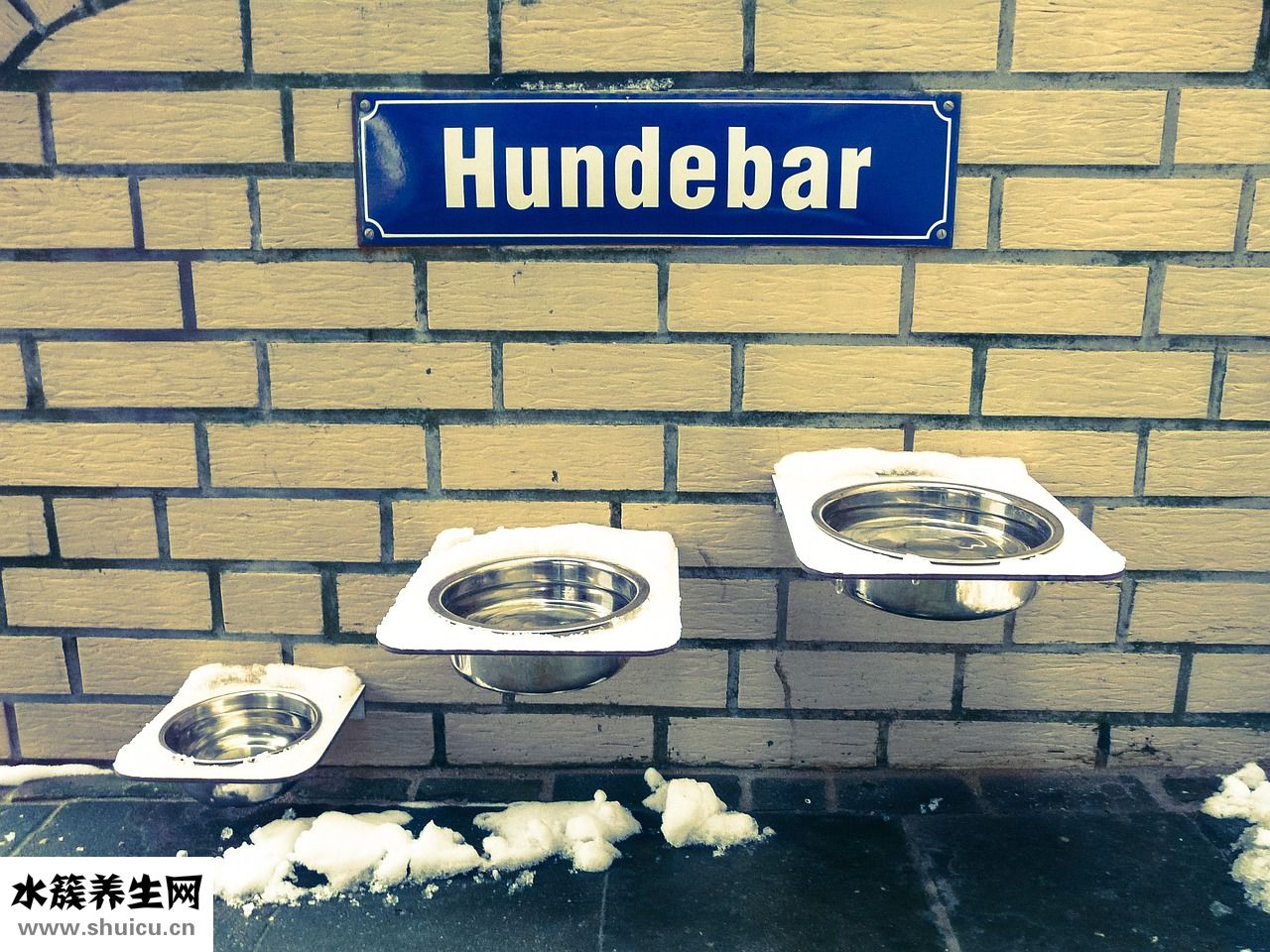 飲水過多怎么恢復