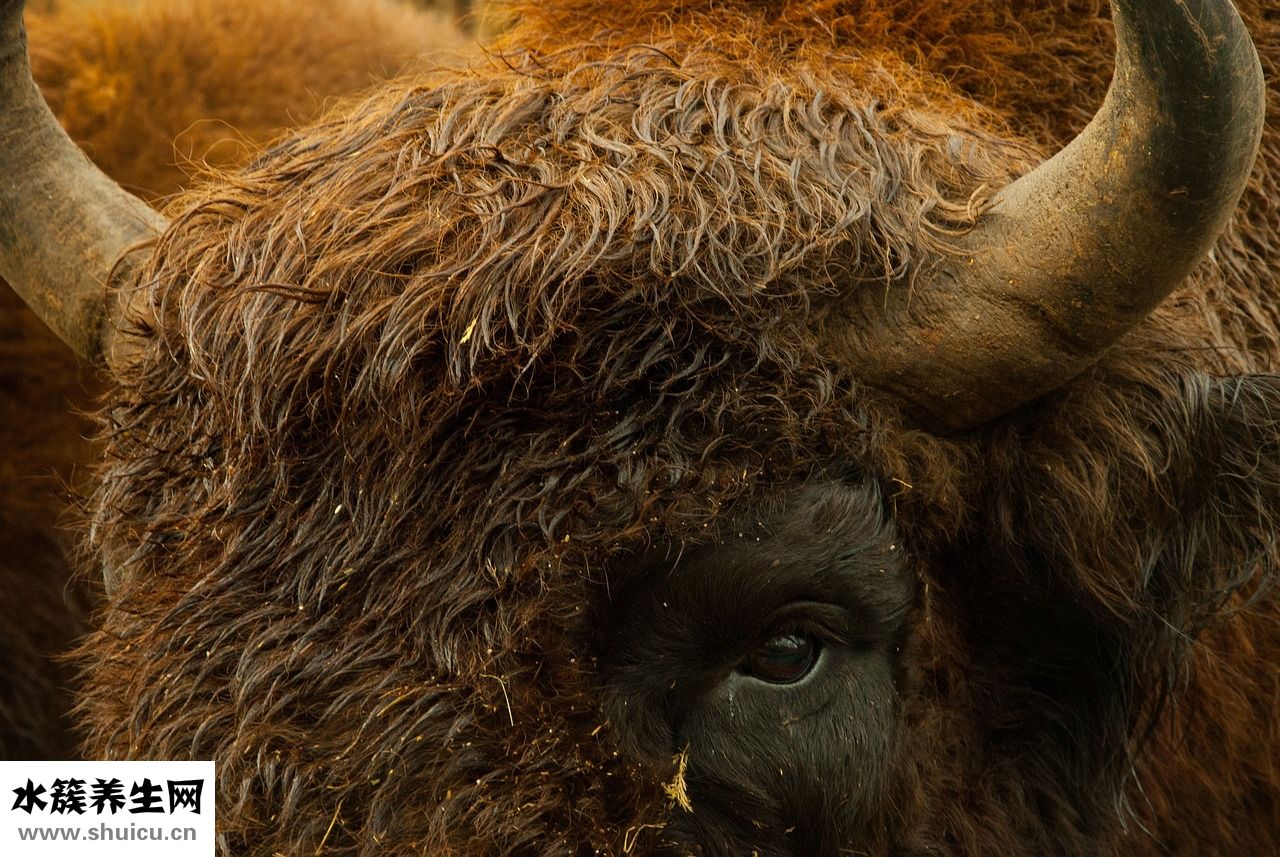 頭發很粗怎么辦