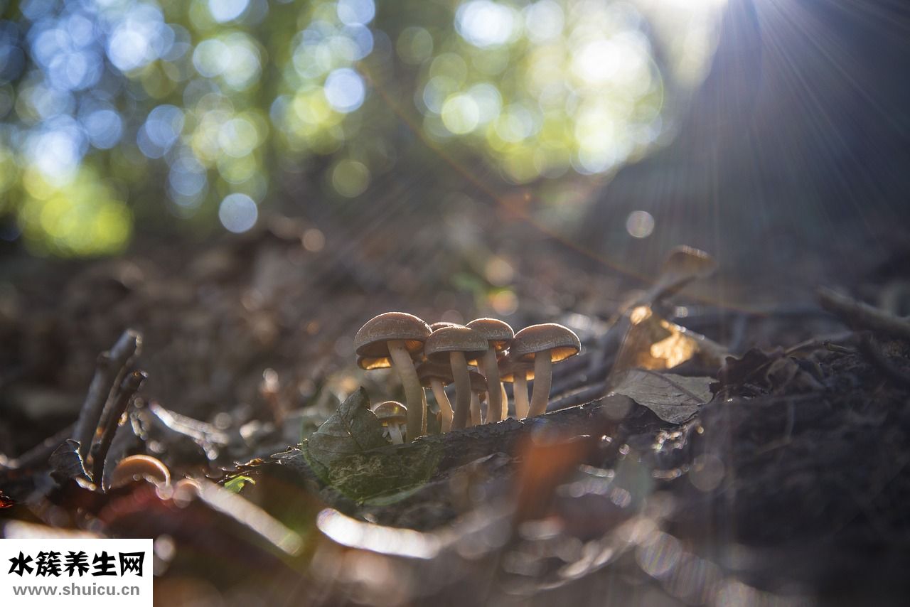 腿上有腳氣怎么辦