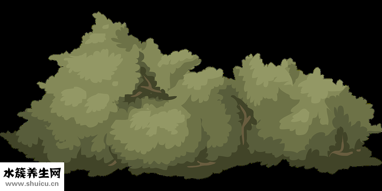 怎么確定是什么膚質(zhì)