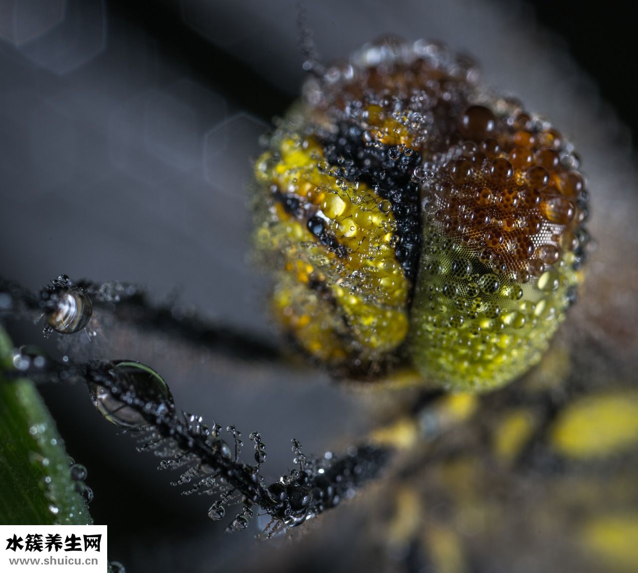 吃完飯總打嗝怎么辦