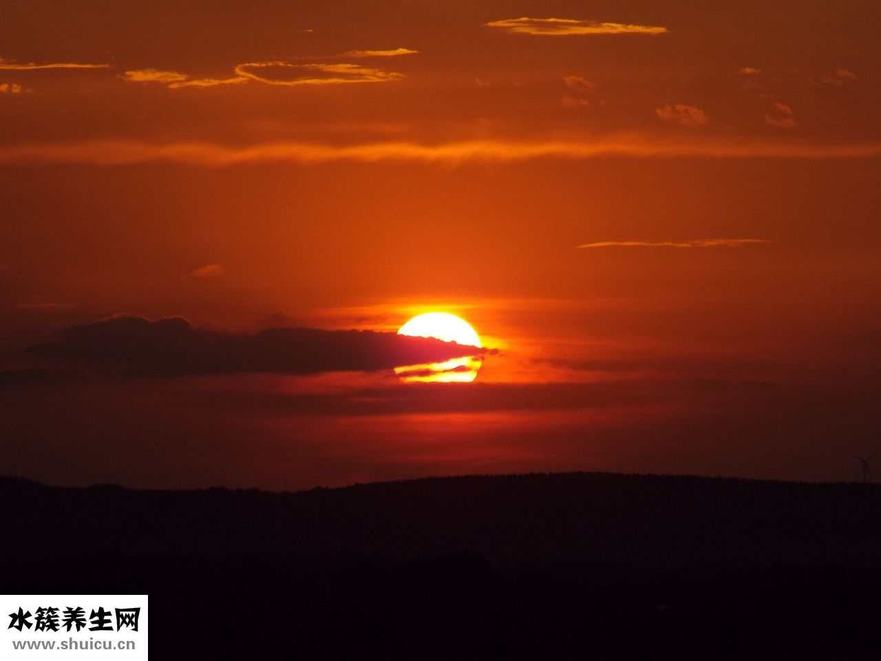皮膚發黃怎么變白
