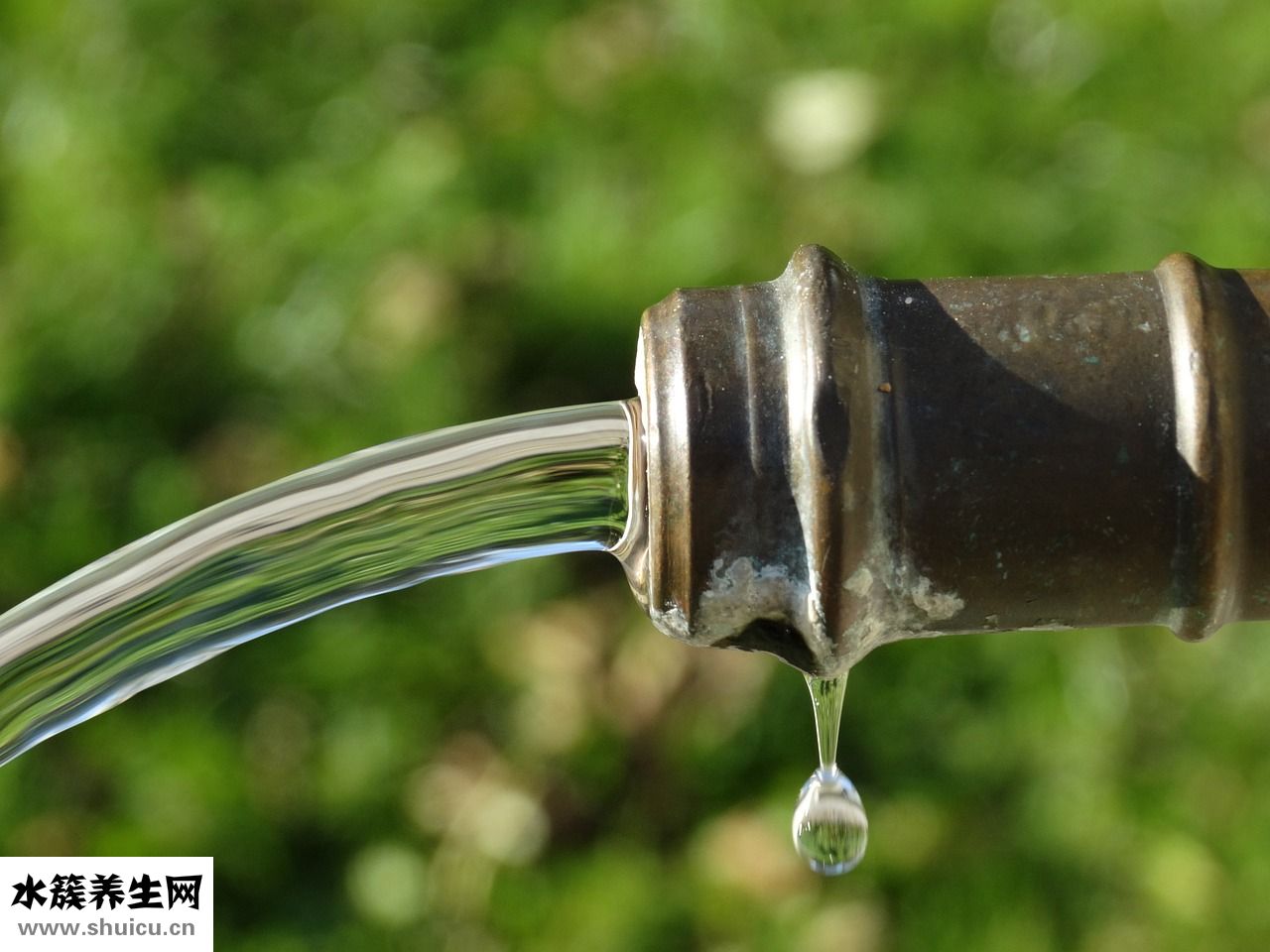 飲水過多怎么恢復