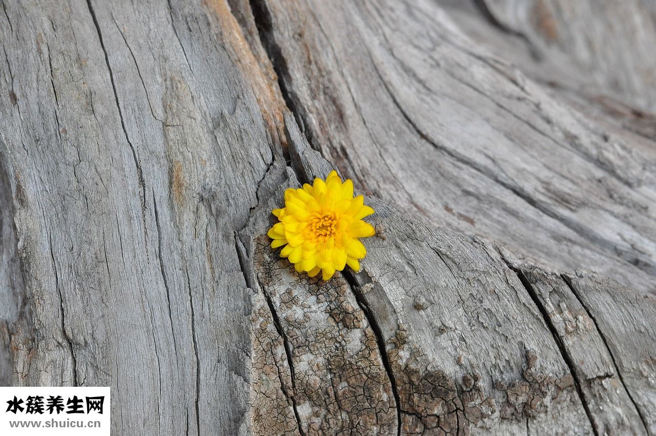 分手了怎么發泄