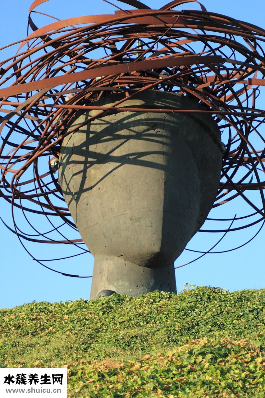 繞蟲是怎么引起的