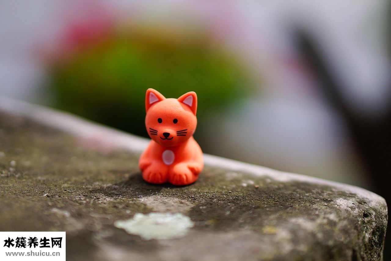 兩腮痛怎么回事