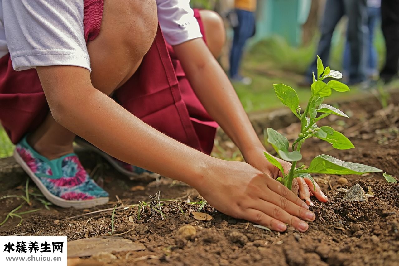 精子凝集怎么治療