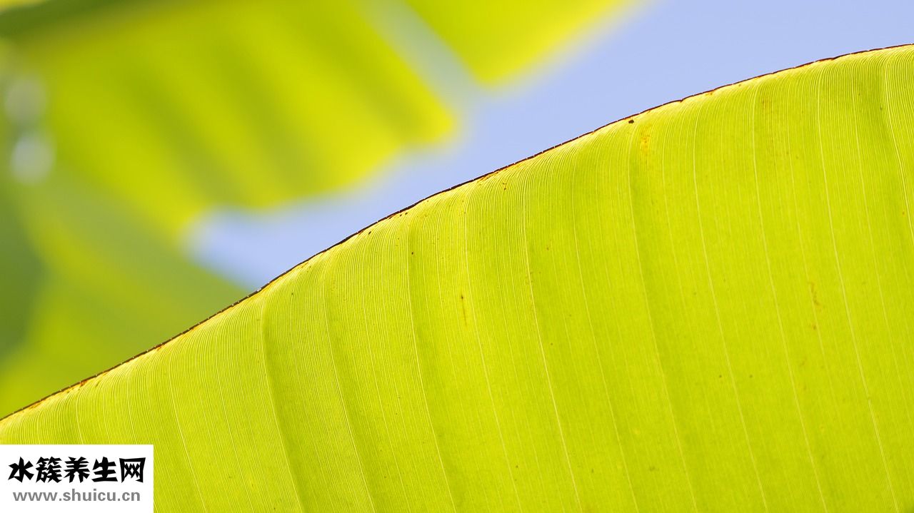 怎么打自己屁屁