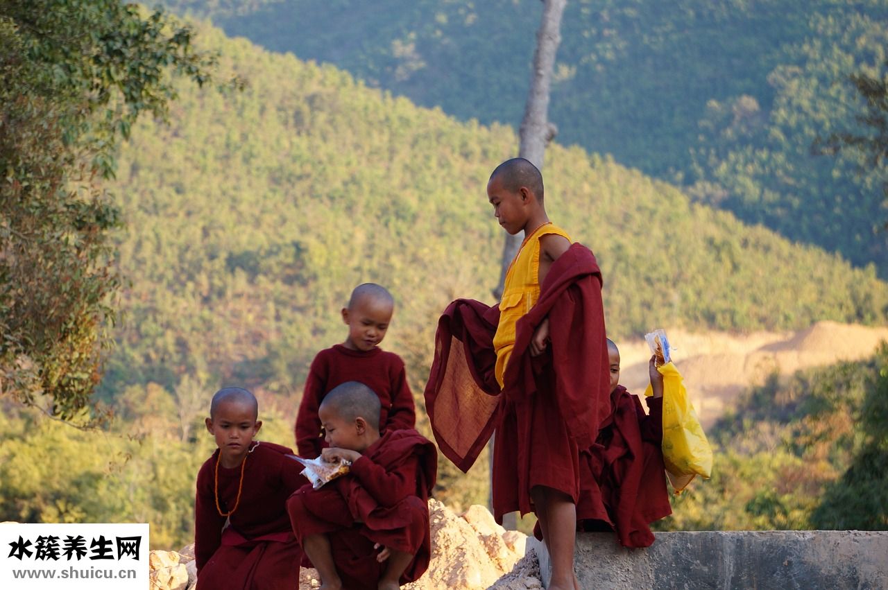 十二生肖怎么算