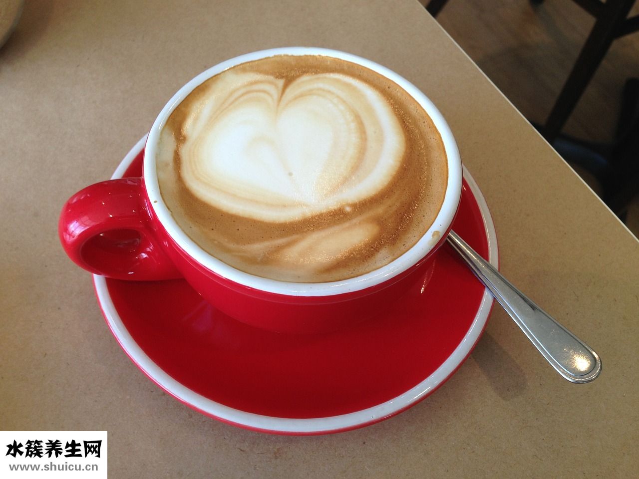 怎么給黑泰迪洗澡