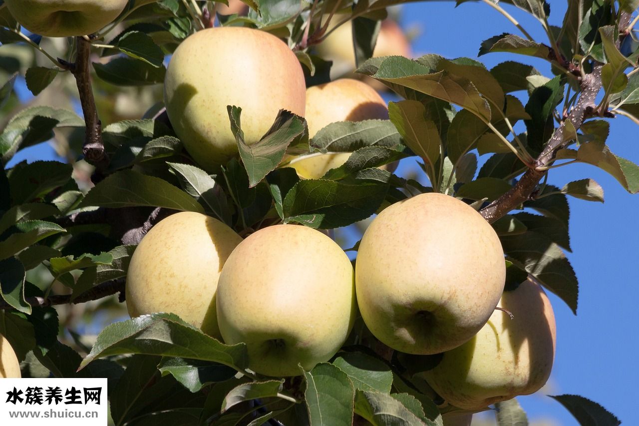 支氣管炎怎么預防