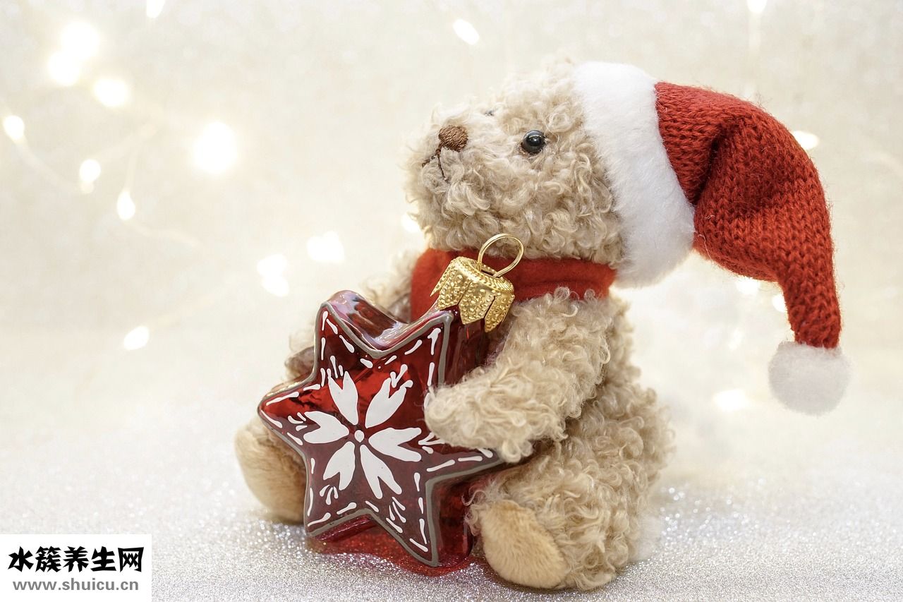 怎么給黑泰迪洗澡