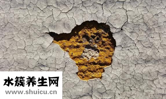 油炸南瓜炸的怎么做