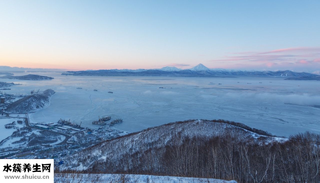 羅漢魚脹肚怎么辦
