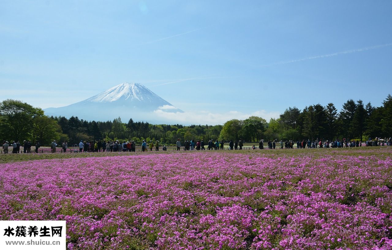 月子嬰兒拉稀怎么辦