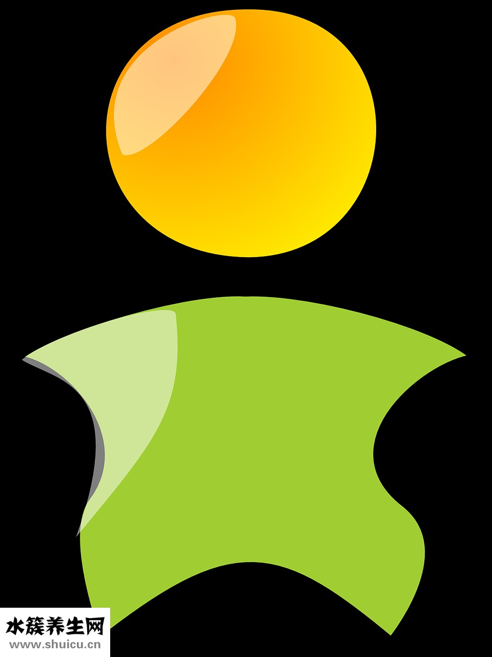 十二生肖怎么算