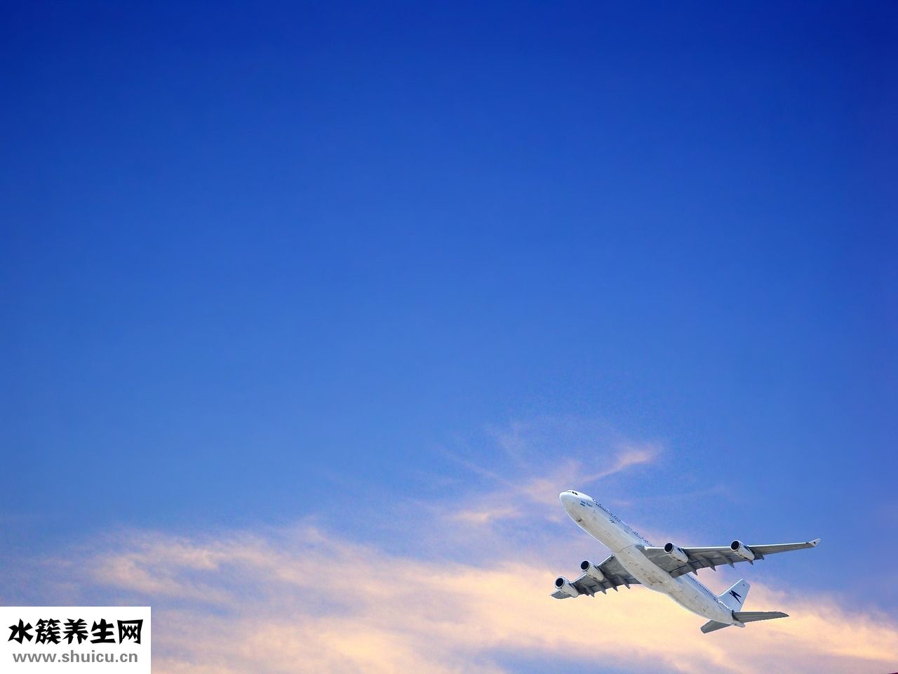 八月札水果怎么吃