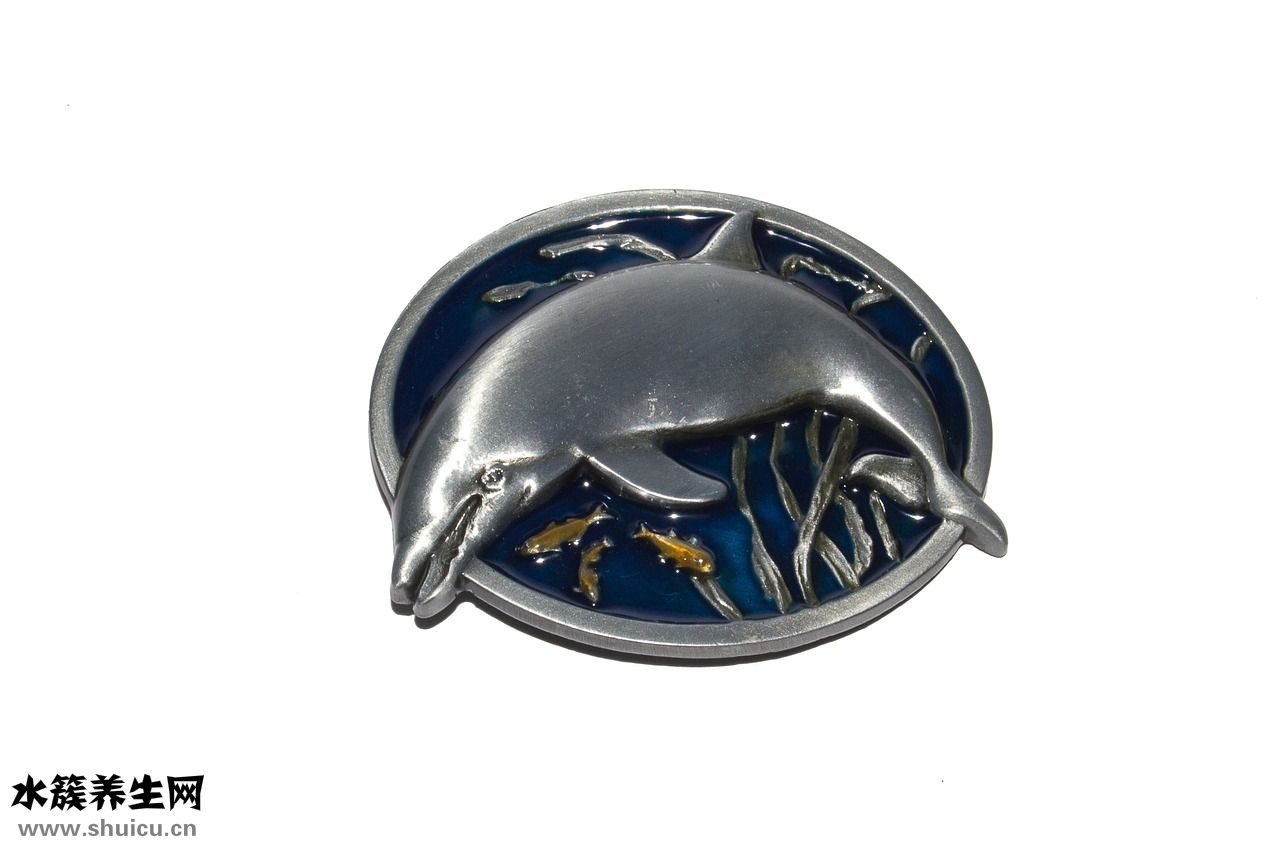 皮帶扣過敏怎么辦