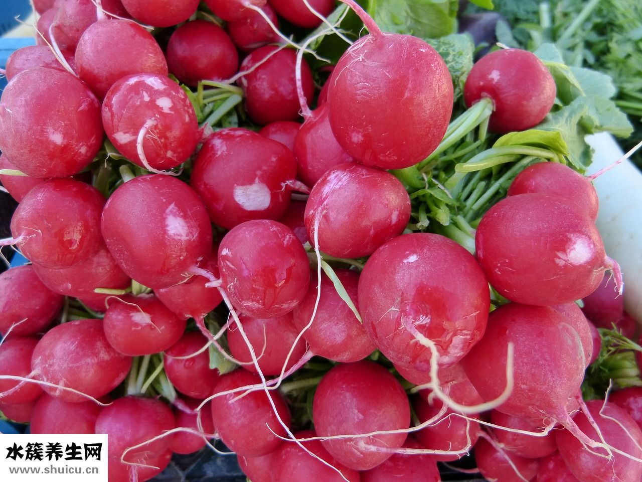 懷孕嚴(yán)重咳嗽怎么辦