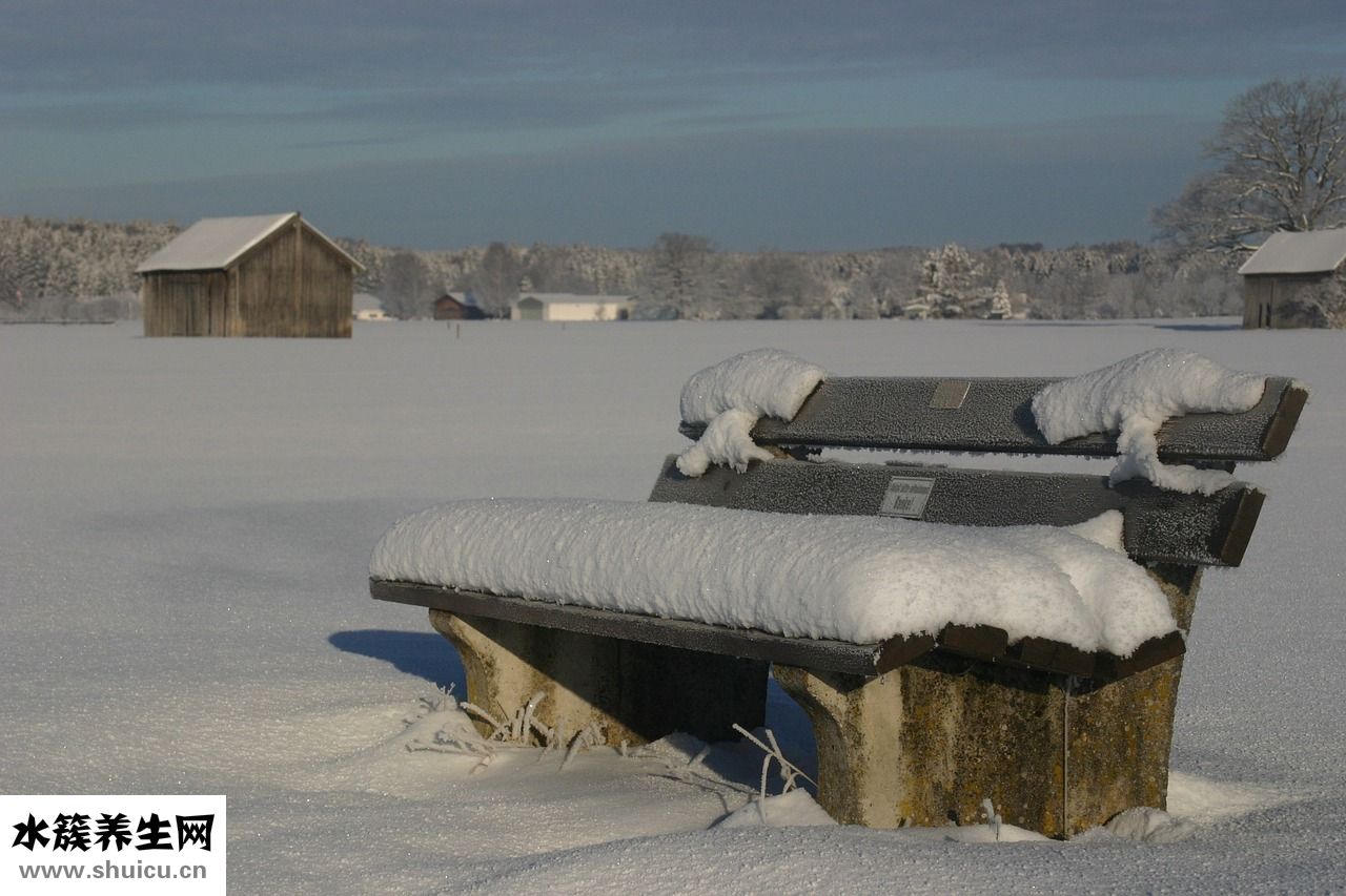 被子長(zhǎng)蟲怎么辦