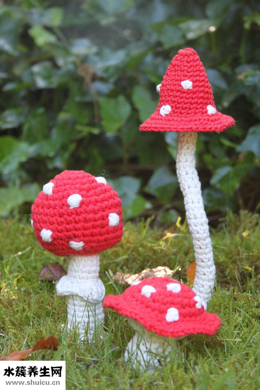 陰道炎怎么食療