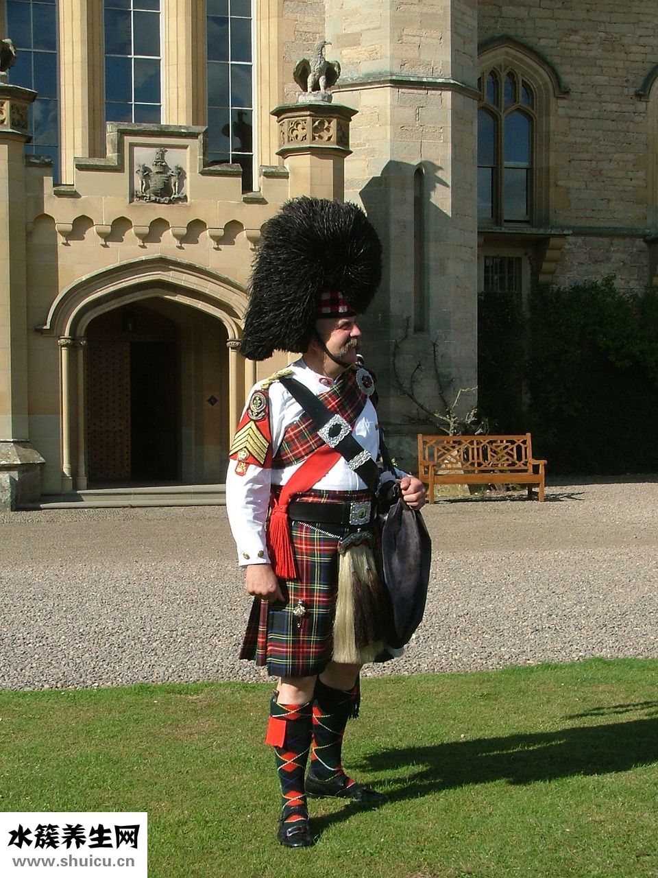 怎么判斷油性頭發