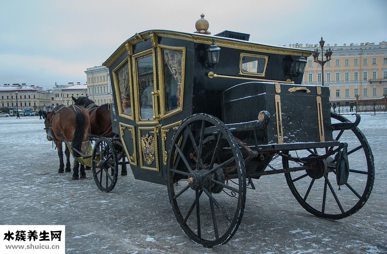 被貓咬出血怎么辦