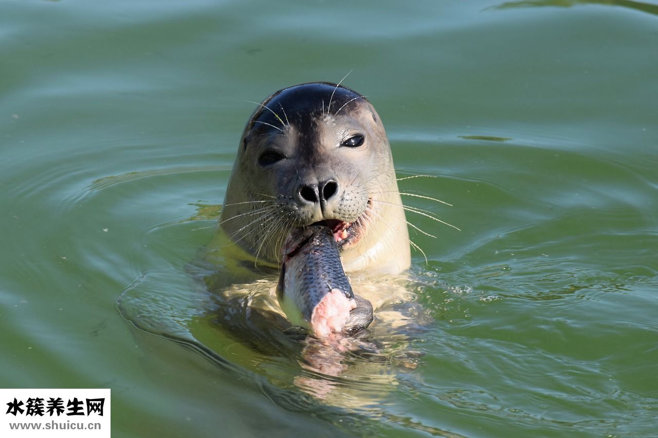 新生兒吃撐了怎么辦