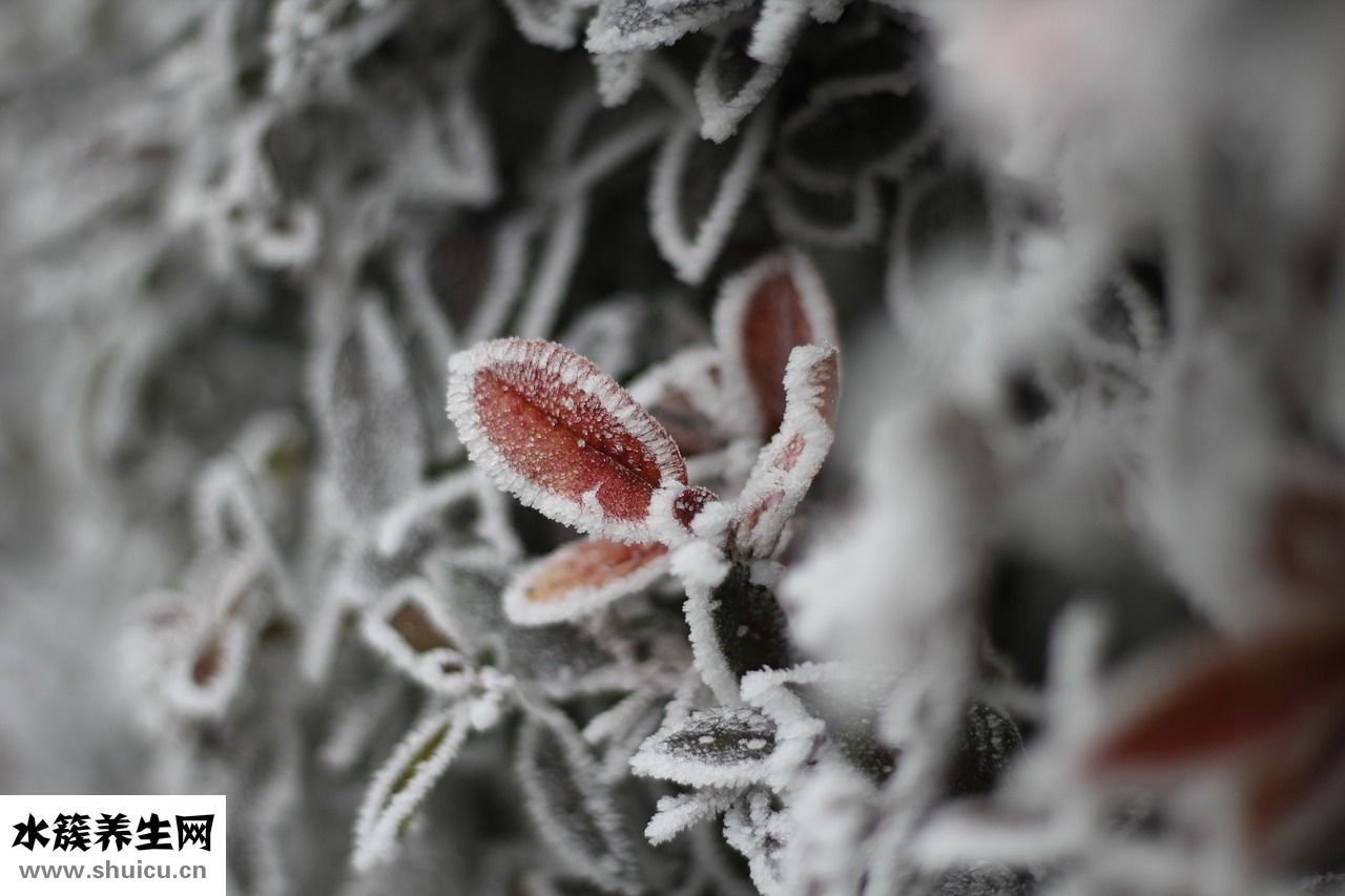 缺血性頭痛怎么辦