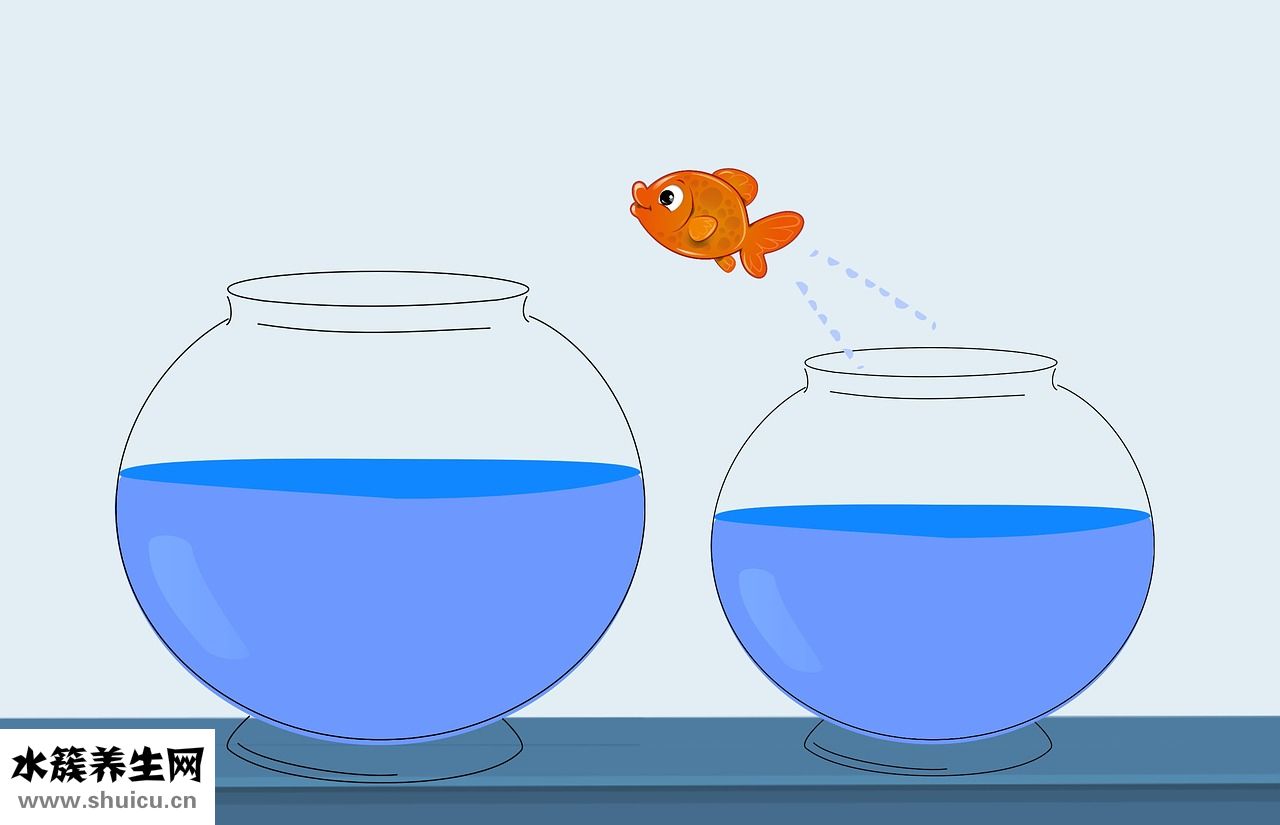 剛懷孕了咳嗽怎么辦