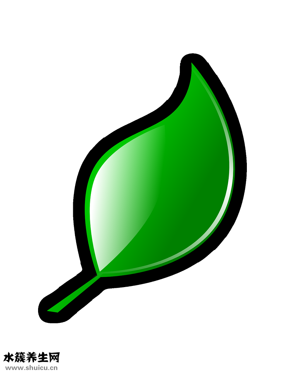 怎么披散頭發(fā)