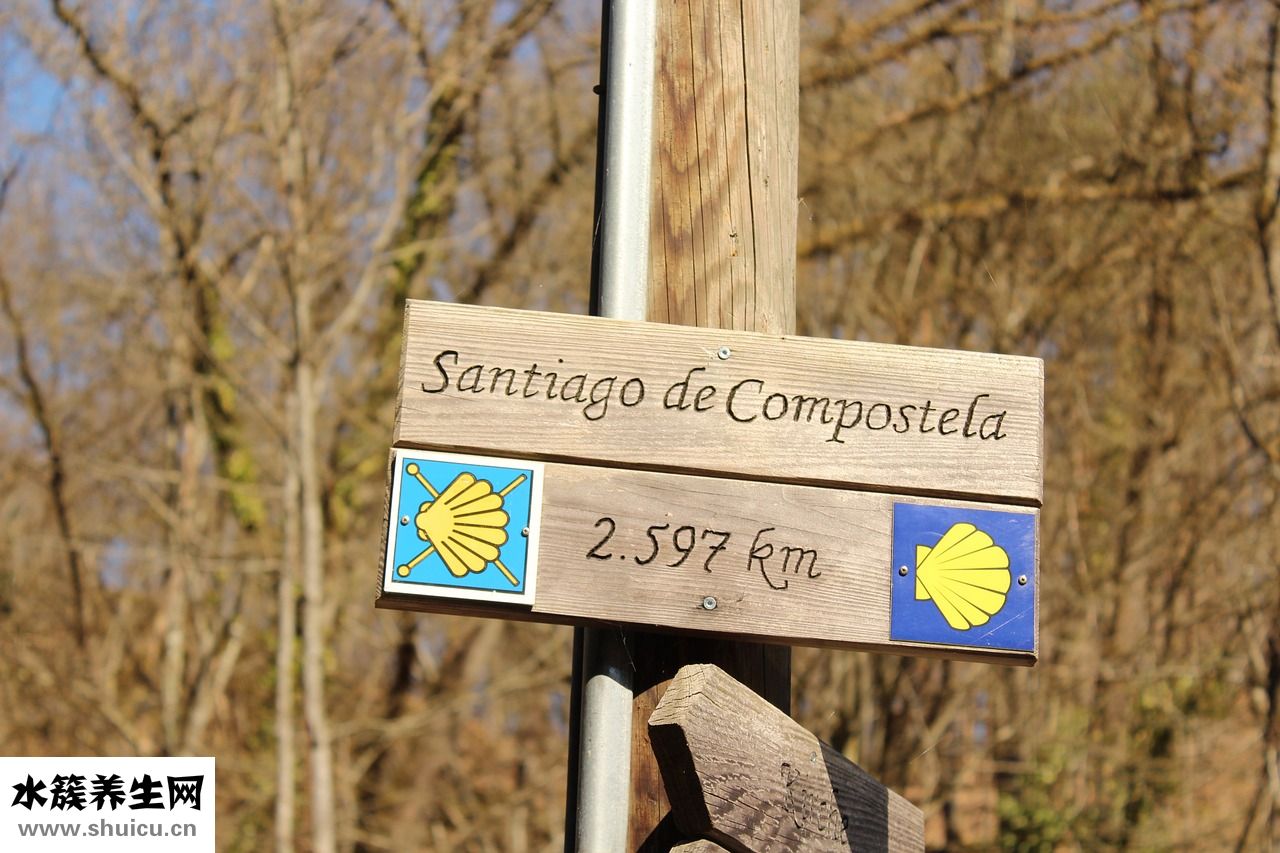 怎么才能提高懷孕