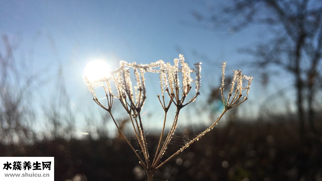 嘴上長痘痘怎么調(diào)理