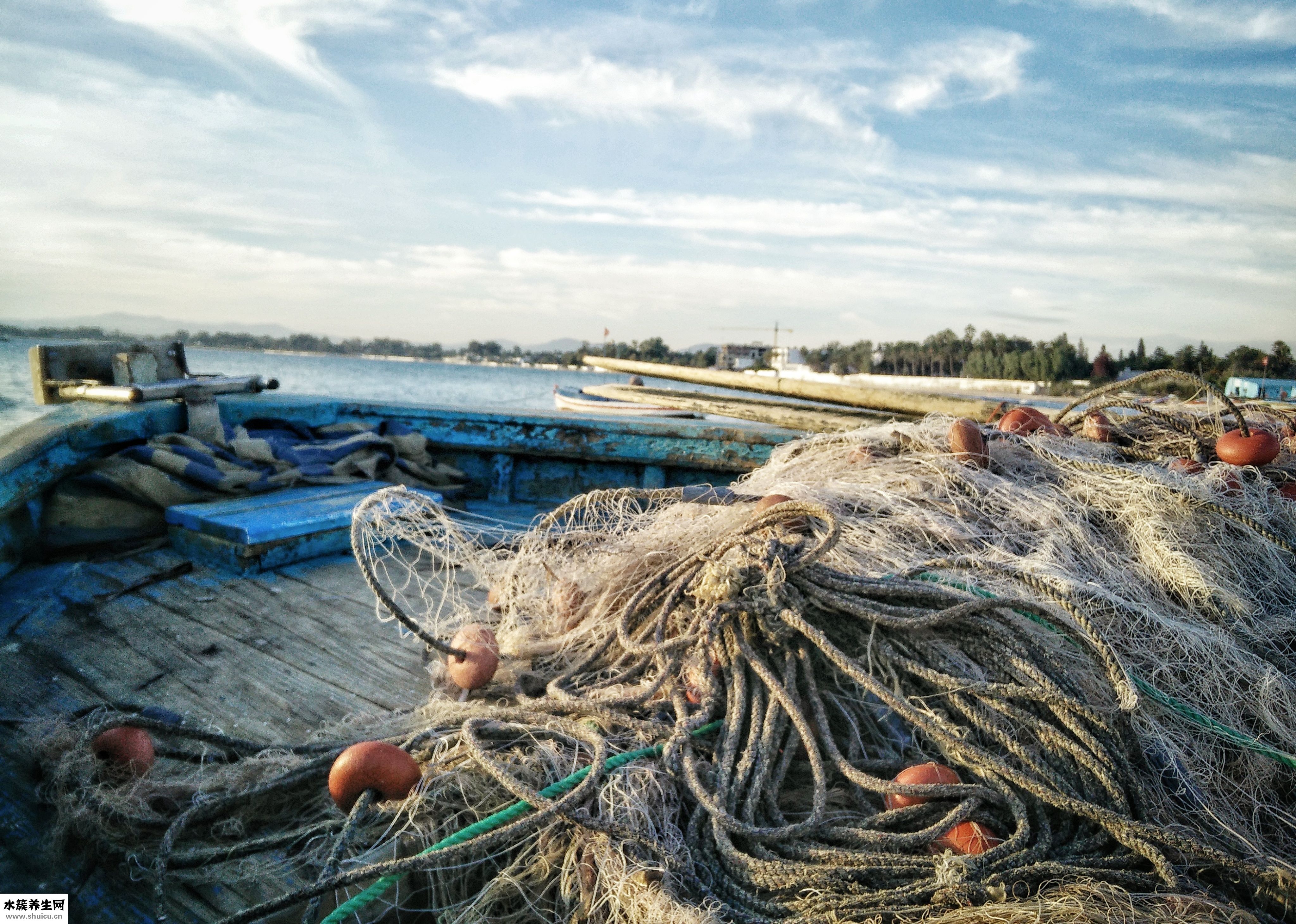 吃海鮮吐了怎么辦
