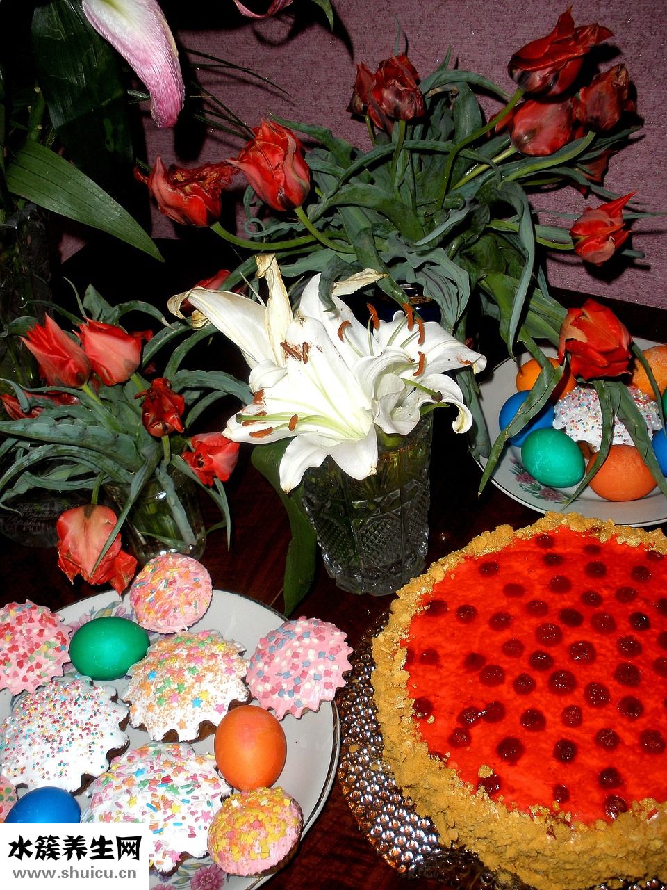 狗崽子怎么養(yǎng)