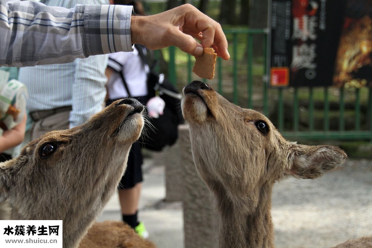 新生兒吃撐了怎么辦