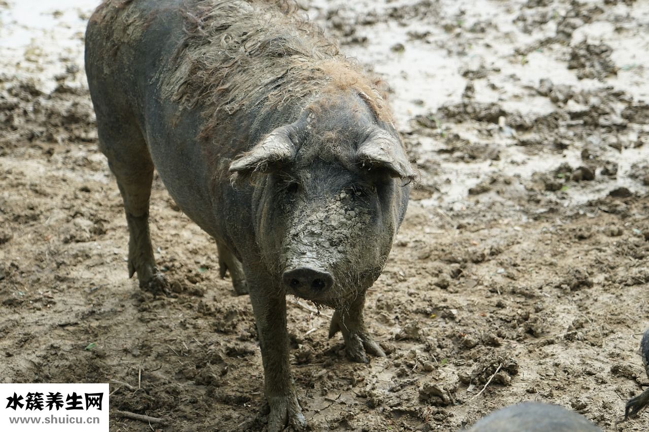 腳里面痛是怎么回事