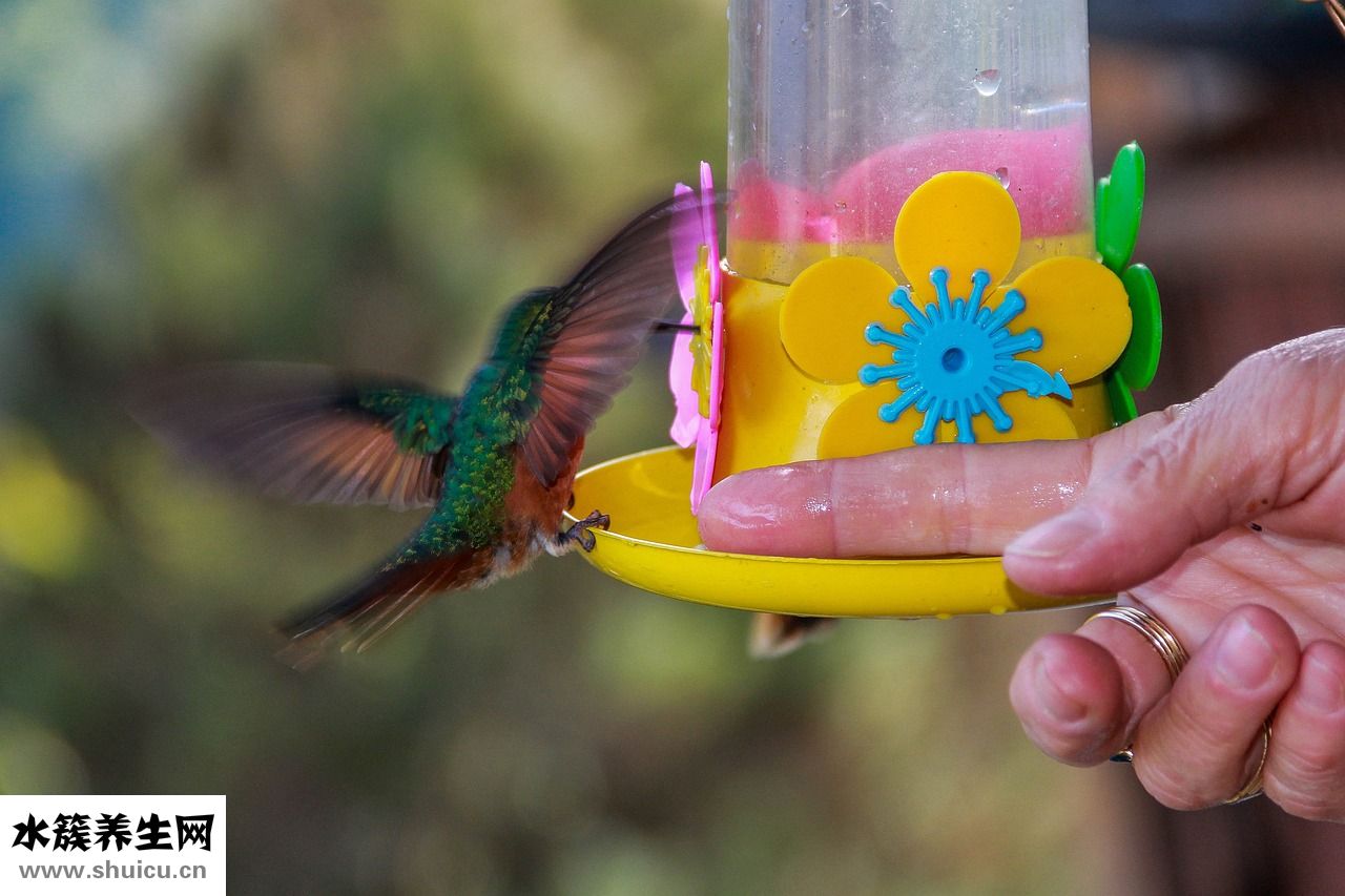 怎么保養手部關節