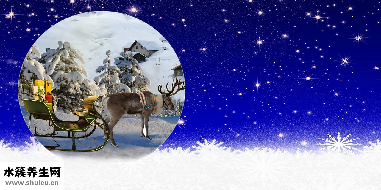 平板拖把怎么拆