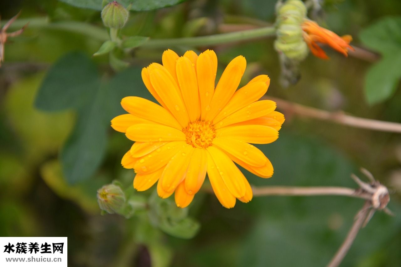 做不好的夢怎么辦