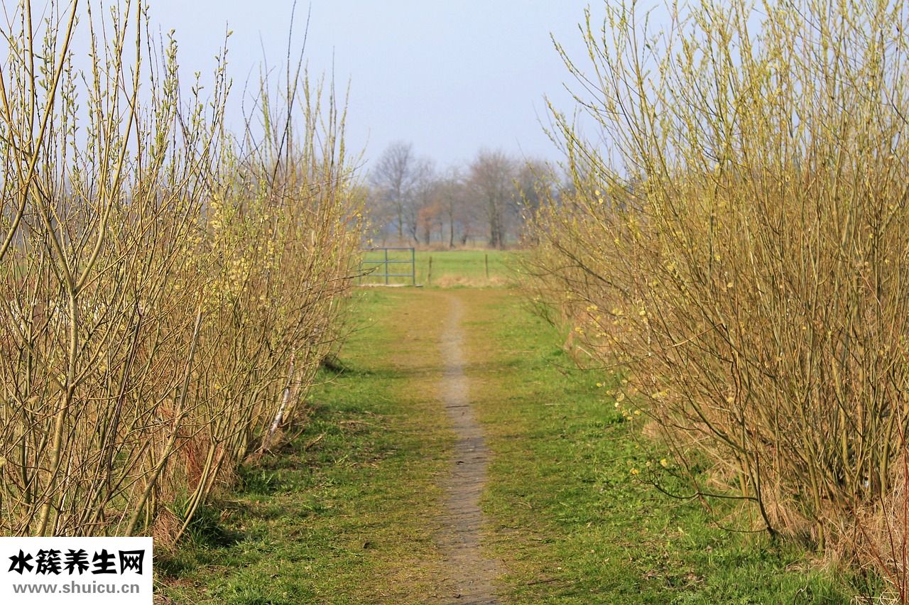 嬰兒戒子怎么折