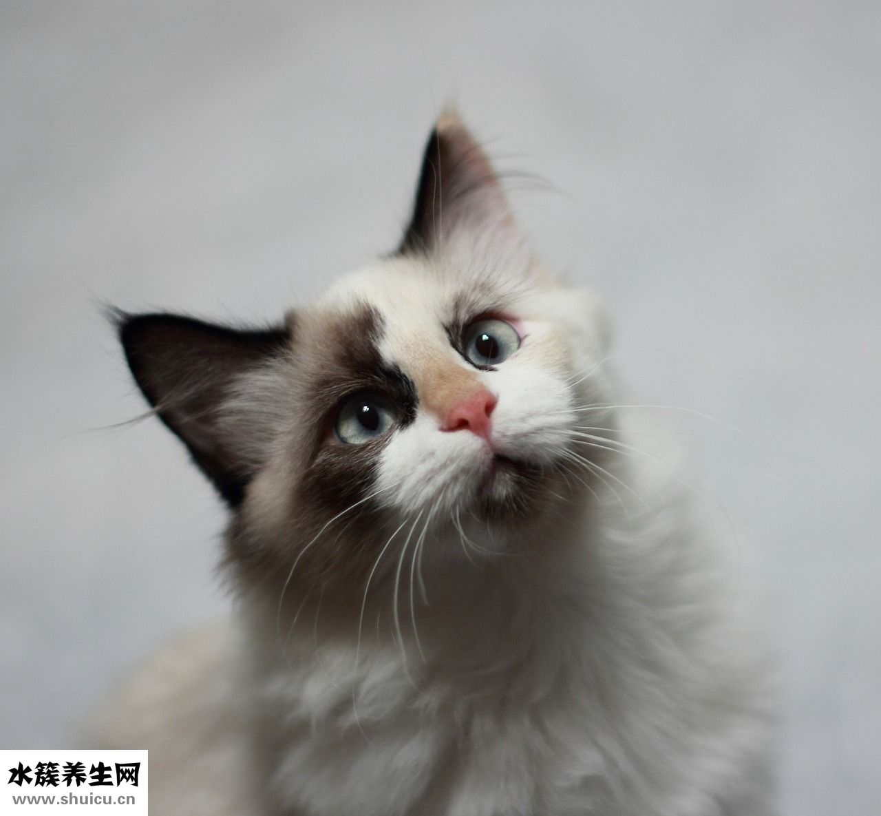 發尾微卷發型怎么弄