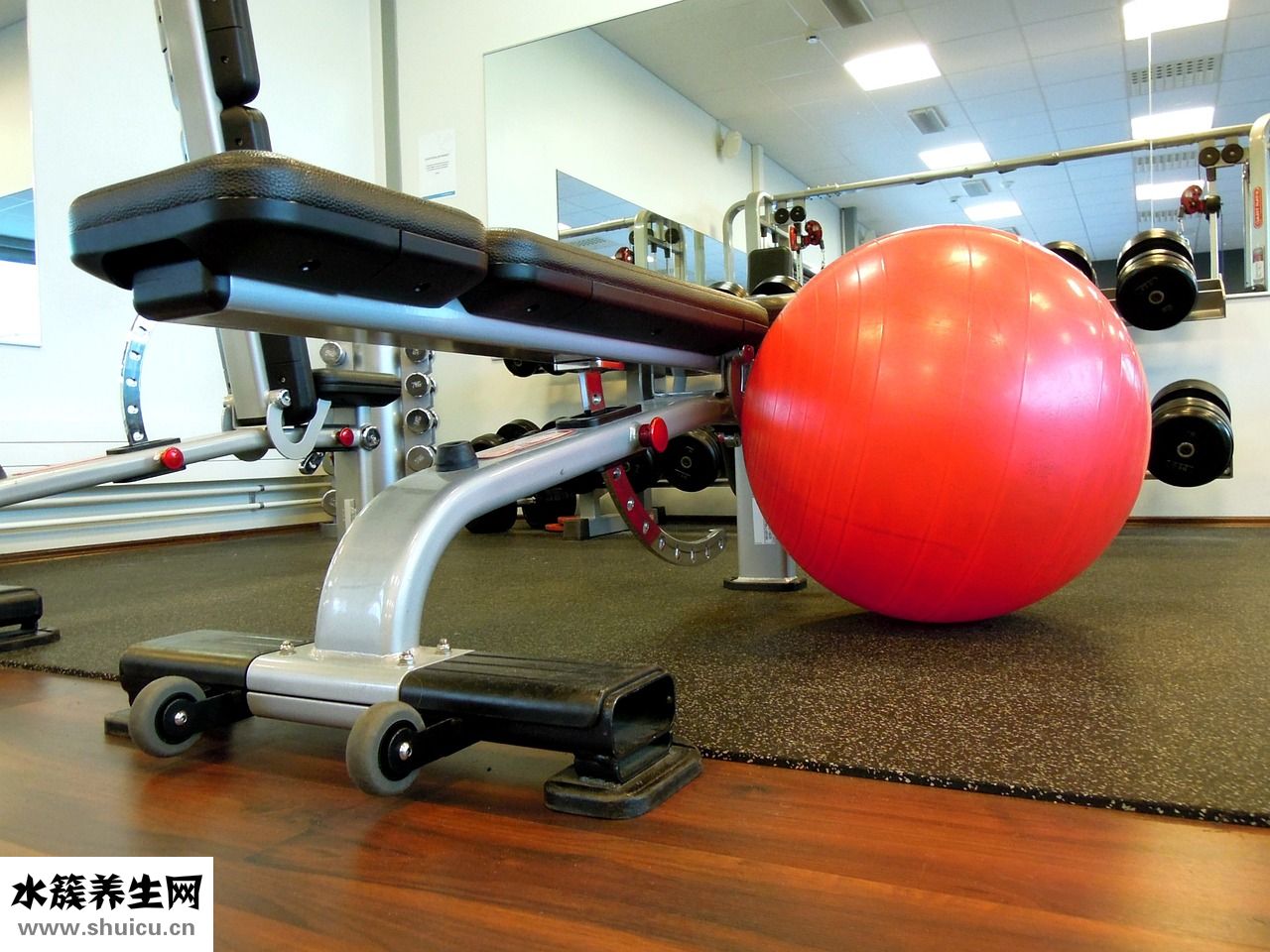健身球怎么用